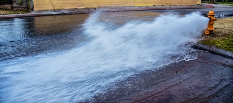 Hydrant flushing